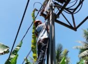 Jaga Kualitas Layanan Internet, PLN Icon Plus Sumbagteng Lakukan Pemeliharaan Jaringan Fiber Optik di Sungai Buluh