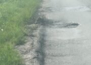 PPK 2.2 Buktikan: Jalan Nasional Bisa Rusak Lebih Cepat dari Janji Kampanye