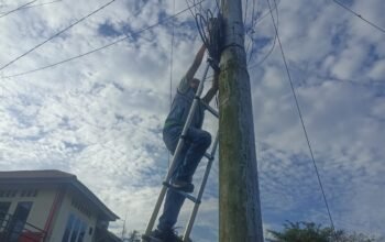 Wujudkan Koneksi Optimal, PLN Icon Plus Lakukan Pemeliharaan Jaringan FO di Tanjung Gadang Kiliranjao