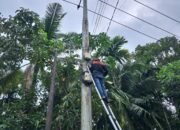 Jaga Keandalan Layanan Internet, PLN Icon Plus Lakukan Pemeliharaan Jaringan Internet di Pulau Palas