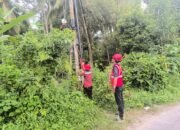 Dukung Layanan Kependudukan, PLN Icon Plus Hadirkan Internet Andal di Kantor Camat Kamang Magek