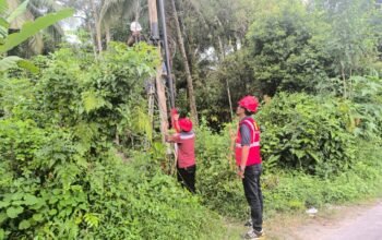 Dukung Layanan Kependudukan, PLN Icon Plus Hadirkan Internet Andal di Kantor Camat Kamang Magek
