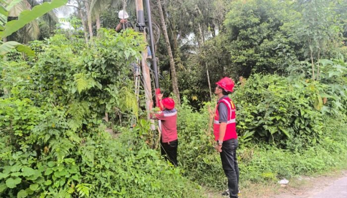 Dukung Layanan Kependudukan, PLN Icon Plus Hadirkan Internet Andal di Kantor Camat Kamang Magek