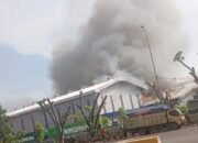 PT Agro Raya Mas Terbakar Hebat, Asap Tebal Selimuti Medan Labuhan