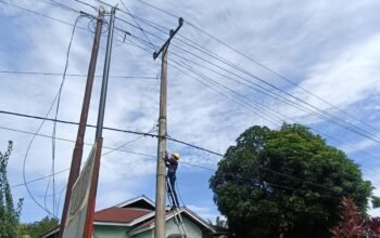 Pastikan Jaringan Prima, PLN Icon Plus Lakukan Preventive Maintenance Jaringan di Lipat Kain Singingi