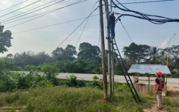 PLN Icon Plus Pastikan Keandalan Layanan Internet Melalui Pemeliharaan Rutin Jaringan Fiber Optik di Dharmasraya