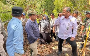 Kemenko Polhukam Tinjau Lokasi Karhutla di Solok