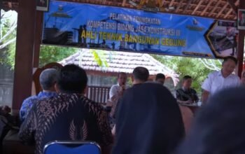Dpu