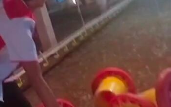 Tega! Kabid Dinas Kominfo Pasaman Seret Anak PKL Jadi Kuli di Peternakan Ayam Pribadi