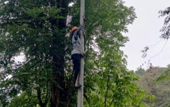 Perkuat Keandalan Koneksi Internet, PLN Icon Plus Lakukan Pemeliharaan Fiber Optic di Jalur Padang Luar – Maninjau