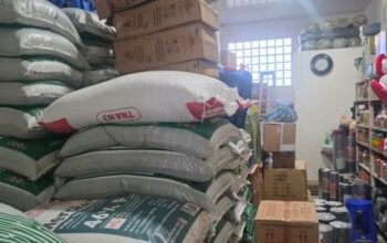 9.920 Ton Pupuk Bersubsidi Tersalur, CV. Tani Maju Pastikan Tepat Sasaran ke Petani Sumbar