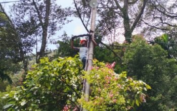 Perkuat Kualitas Layanan, PLN Icon Plus Lakukan Pemeliharaan Fiber Optik di Sijunjung