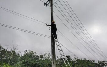 Optimalisasi Jaringan Berkelanjutan, PLN Icon Plus Lakukan Pemeliharaan Fiber Optik di Jalur Teluk Kuantan–Gardu Induk (GI) Rengat