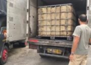 Solar Dari Padang Balik Ke Padang Polisi Amankan Mobil Box Pengangkut Solar Ilegal