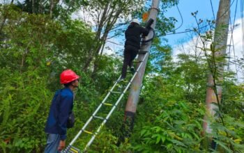 Tingkatkan Kualitas Koneksi Internet, PLN Icon Plus Lakukan Pemeliharaan Jaringan Fiber Optik di Kabupaten Solok