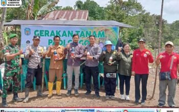 Pemkab Mura Perkuat Ketahanan Pangan Lewat Gerakan Tanam Padi Gogo