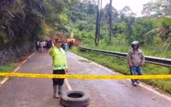 Palupuh Pulih Bertahap: Arus Lalu Lintas Lubuk Sikaping–Bukittinggi Mulai Normal