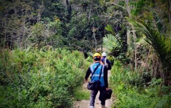 PLN Icon Plus Percepat Pemulihan Jaringan Melalui Perbaikan Backbone di Batang Toru, Tapanuli Selatan