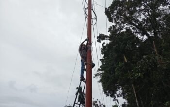Dukung Keamanan dan Kualitas Jaringan, PLN Icon Plus Lakukan Pemeliharaan Jaringan di Agam