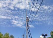 Dukung Konektivitas Digital, PLN Icon Plus Lakukan Pemeliharaan Preventif Jaringan di Limau Manis Selatan