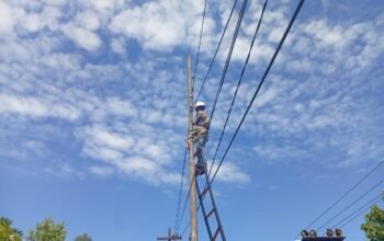Dukung Konektivitas Digital, PLN Icon Plus Lakukan Pemeliharaan Preventif Jaringan di Limau Manis Selatan