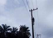 Dukung Stabilitas Layanan Digital, PLN Icon Plus Lakukan Pemeliharaan Jaringan Fiber Optik di Bengkalis