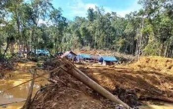 Tambang Emas Ilegal Airu Terus Menggila, Hukum Seolah Tak Bertaring di Papua