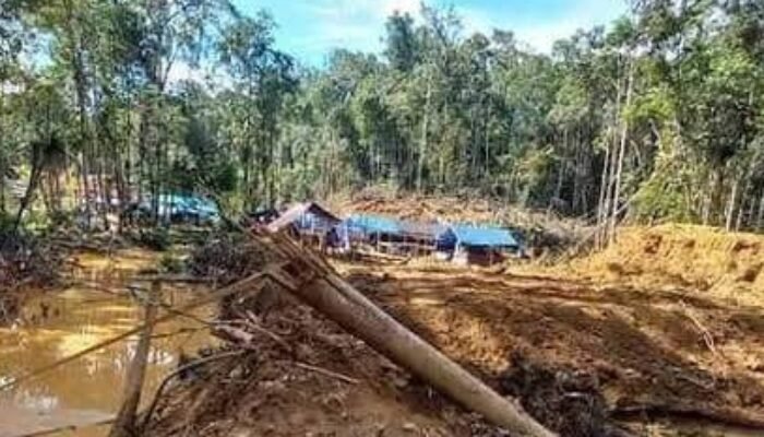 Tambang Emas Ilegal Airu Terus Menggila, Hukum Seolah Tak Bertaring di Papua