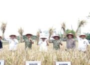 Bupati Malang Hadiri Panen Perdana Padi Unggul HKTI di Turen