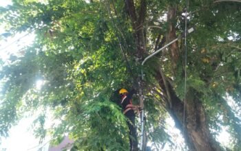 Dukung Layanan Telekomunikasi Stabil, PLN Icon Plus Lakukan Pemeliharaan Jaringan Fiber Optik di Padang