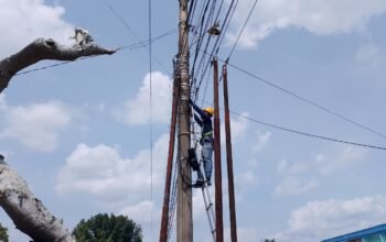 Optimalkan Infrastruktur Fiber Optik, PLN Icon Plus Lakukan Pemeliharaan Rutin di Perawang Barat