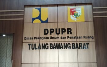 Anggaran Rp4,5 Miliar Dipertanyakan, Jalan Lingkungan Tubaba Tuai Sorotan