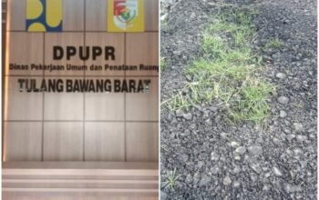 Proyek Jalan Lingkungan Rp4,5 Miliar di Tubaba Disorot, Kualitas Diduga Jauh dari Standar
