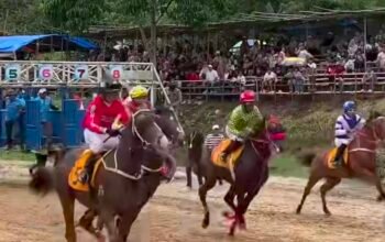 Pacu Kuda Wirabraja Open Race Dan Tradisional Tahun 2026 Berlangsung Meriah
