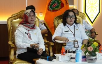 Rapat Dipimpin Tito Karnavian, Pemprov Kalteng Tegaskan Komitmen Selesaikan Masalah Tenaga Honorer