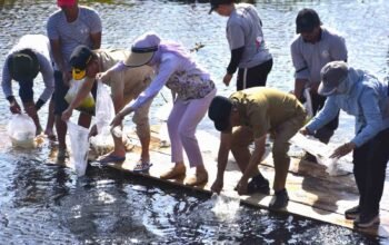 Gubernur H. Agustiar Sabran Tebar 38 Ribu Benih Ikan di Danau Asam, Perkuat Ketahanan Pangan Kalteng