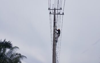 Perkuat Konektivitas Digital, PLN Icon Plus Lakukan Pemeliharaan Jaringan Fiber Optik di Siak, Riau