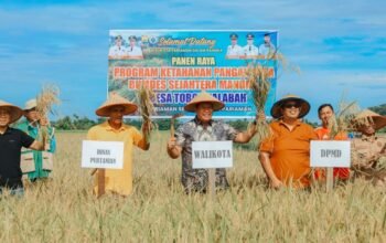 BUMDes Sejahtera Mandiri Panen Capai 14 Ton
