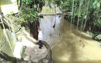 Sekda Pasaman Barat Tinjau Pencarian Warga Terseret Air Bah di Simpang Alahan Mati