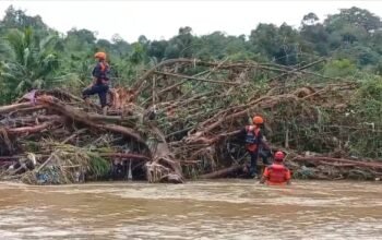Korban Banjir Alahan Mati Ditemukan Meninggal Dunia di Batang Masang