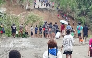 Tran papua