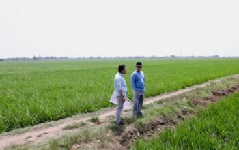 Menteri ATR/BPN Tinjau Lahan Sawah untuk Rencana Kawasan Industri di Indramayu