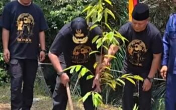 Bangun Rumah Ayah di Bonjol, Rano Karno Siap Perkuat Ekonomi dan Budaya Pasaman