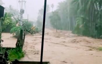 Banjir di Pasaman, Dua Warga Terseret Arus dan Dua KK Terjebak