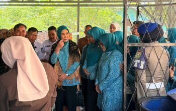 Kunjungi Sentra Gambo, PKK Sumsel Buktikan Cinta Produk Lokal dengan Memborong