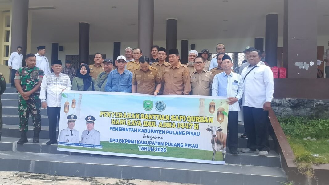 Pulang pisau