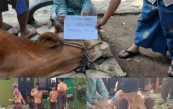 Terapkan Eco Kurban, SD Unggulan Nurul Huda Didistribusikan 380 Paket Daging Kurban Tanpa Plastik