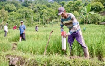 Cegah Sengketa Sejak Dini, ATR/BPN Ajak Masyarakat Pasang Patok Batas Tanah