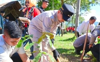 Peringati 100 Tahun Jam Gadang, 1.000 Pohon Ditanam di Tabiang Barasok