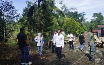 DLH Pasbar Klarifikasi Penebangan Sengon di Hutan Kota, Bagian dari Revitalisasi dan Mitigasi Risiko Keselamatan
